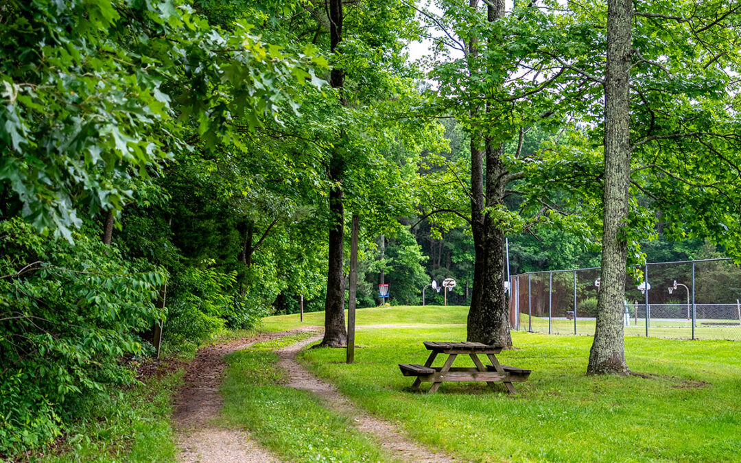 Barnesfield Park