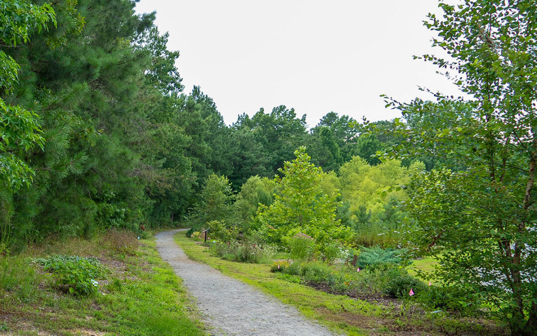 Cedell Brooks, Jr. Park